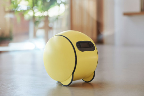 Ballie : Le Robot Compagnon pour une Maison Futuriste