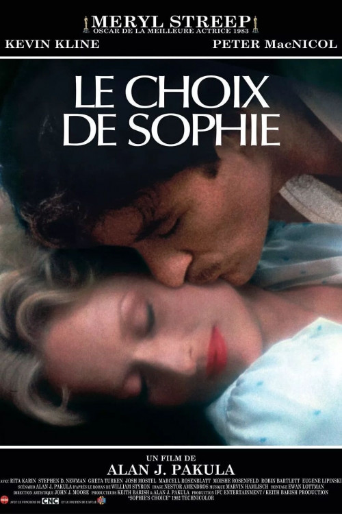 Sophie fait face à son destin : Le Choix de Sophie