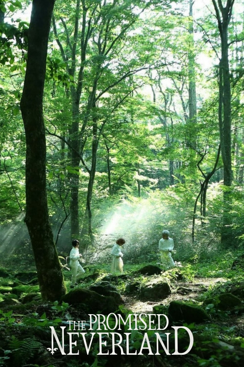 Exploration du monde magique de Neverland: Un conte cinématographique captivant!