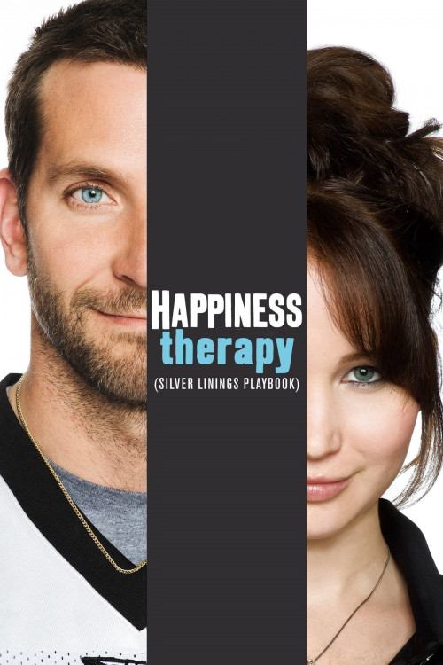 Le Cahier de Rêves Argentés de Silver Linings Playbook